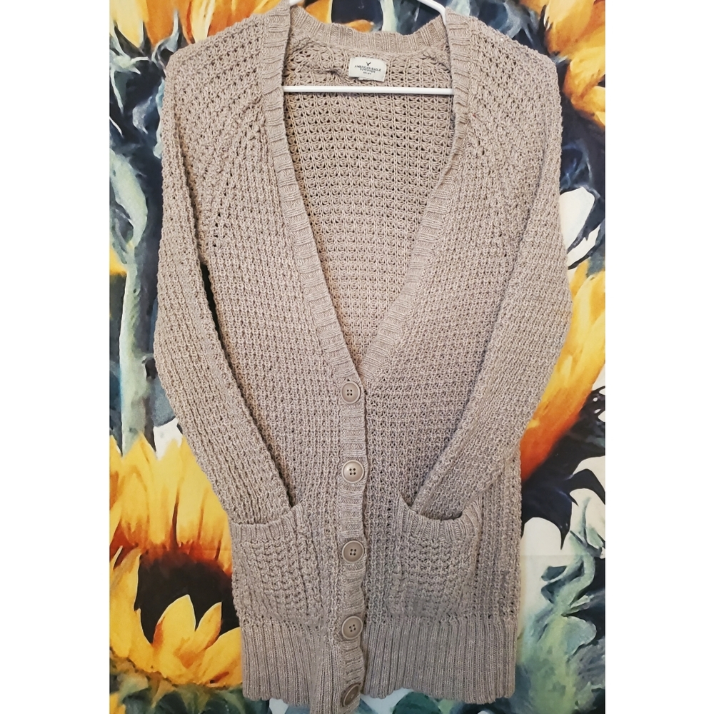 American Eagle Cardigan